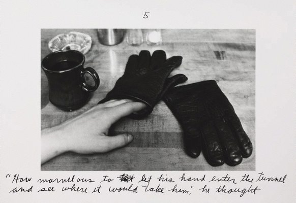 Alternate image of The pleasures of the glove by Duane Michals