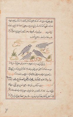 Alternate image of A folio from a manuscript of the ‘Ajā’ib al-makhlūqāt wa-gharā’ib al-mawjūdāt (The wonders of creation) by 