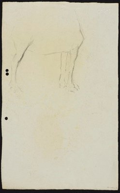 Alternate image of recto: Study of horse's leg
verso: Study of horse's legs by Lloyd Rees