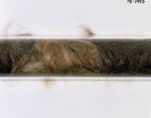 Alternate image of Hairline crack by Julie Rrap