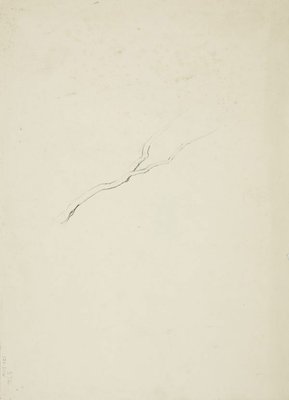 Alternate image of recto: Country lane to house
verso: Outline of a tree by Lloyd Rees