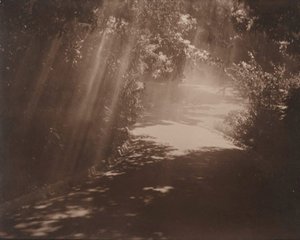 Untitled (Pathway through gardens with light rays), circa 1910 by Norman C Deck
