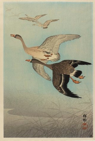 AGNSW collection Ohara Shōson Flying geese 1926
