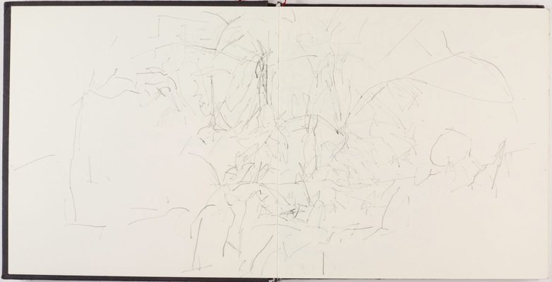 Alternate image of Sketchbook for 'Between two logs, Kalorama' by Mary Tonkin