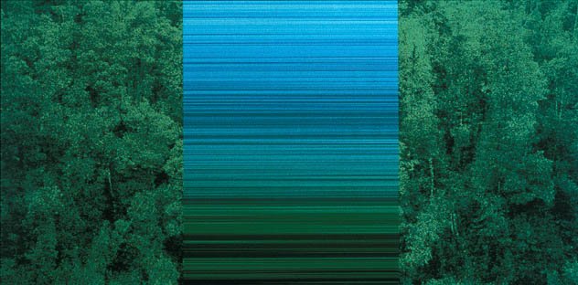 AGNSW collection Rosemary Laing greenwork, blue gradient 1995