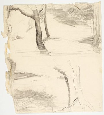 Alternate image of recto: River landscape (Werri)
verso:Two tree studies by Lloyd Rees