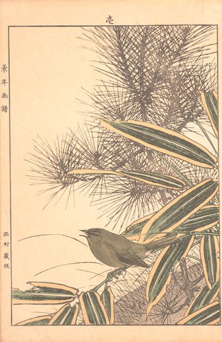 AGNSW collection Imao Keinen Red pine, mountain white bamboo and bush warbler 1891