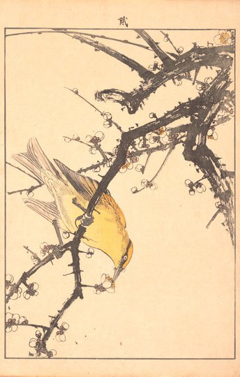 AGNSW collection Imao Keinen White plum blossoms and bird 1891