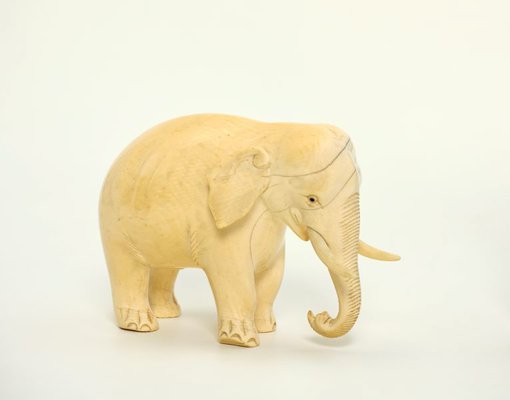 Alternate image of Elephant by 