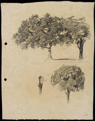 Alternate image of recto: Trees and Columns of the Art Gallery's porch
verso: Trees [upside down] by Lloyd Rees