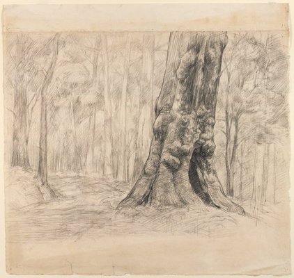 Alternate image of Study for 'Knotty tree near Dudinalup, Western Australia' by Beatrice Darbyshire