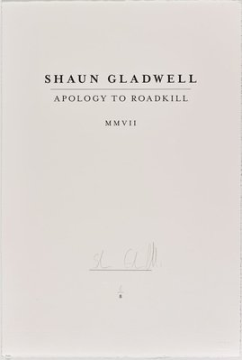 Alternate image of Apology to roadkill MMVII by Shaun Gladwell