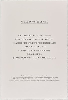 Alternate image of Apology to roadkill MMVII by Shaun Gladwell