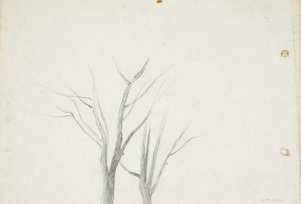 Alternate image of recto: Landscape
verso: Bare trees by Lloyd Rees