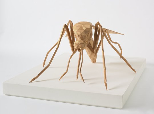 Alternate image of Mosquito by James Angus