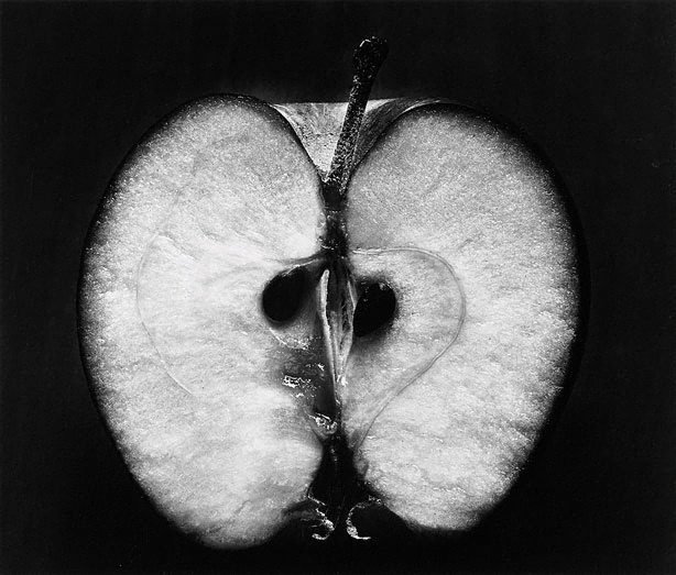 AGNSW collection Wynn Bullock Half an apple 1953, printed later