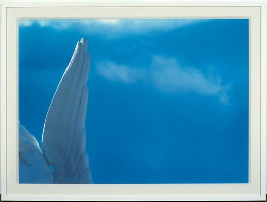 Alternate image of Untitled (angel wing) by Michael Riley