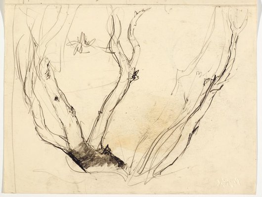 Alternate image of recto: Bush with tree fern (twice) and Sketch of mallee trunks
verso: Mallee trunks by Lloyd Rees