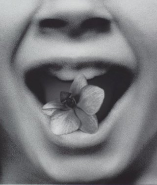 AGNSW collection Pat Brassington The permissions #6 2013