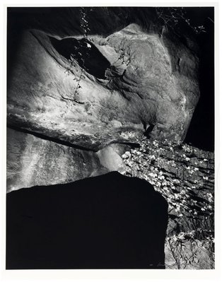 Alternate image of Landscape by night I, Castlecrag by Max Dupain