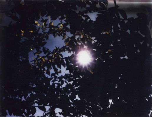 Alternate image of Flare by Thomas Demand