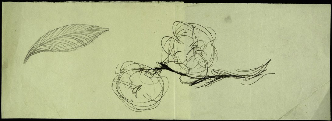 Alternate image of Sheet of various drawings in three sections; Mother and child, leaf and plant studies by David Strachan