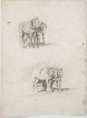 Alternate image of recto: Lorry horses
verso: Two pairs of lorry horses, one a white pair by Lloyd Rees