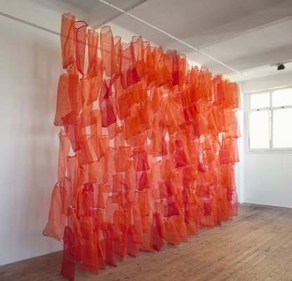 Alternate image of Onion sac wall by Lauren Berkowitz