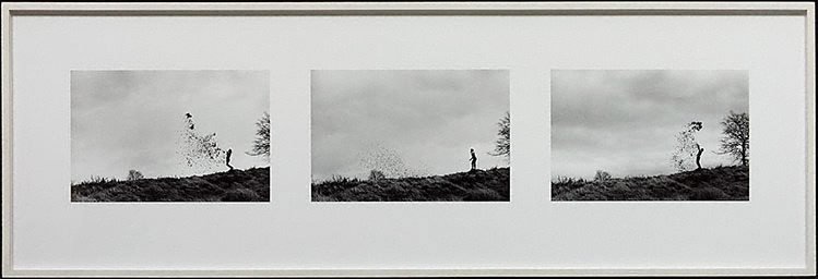 Alternate image of Leaf throws, Blairgowerie, Perthshire, Tayside, 3 January 1989 by Andy Goldsworthy