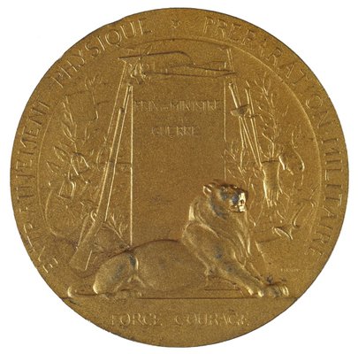 Alternate image of Pro Patria medal by Paul Grandhomme