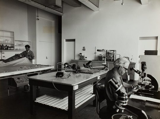 Alternate image of Historical interior view of the conservation laboratory of the Art Gallery of New South Wales, showing micro-photography equipment on the right and the vacuum hot-press table on the left by Art Gallery of New South Wales, Max Dupain