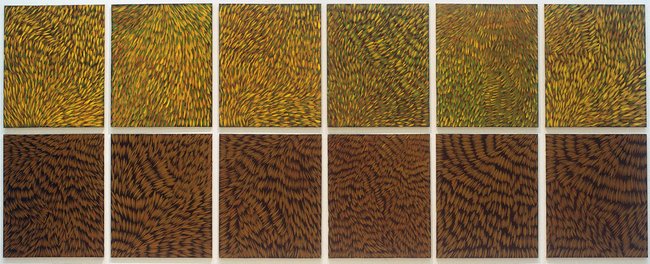 AGNSW prizes Gloria Tamerre Petyarre Leaves, from Wynne Prize 1999